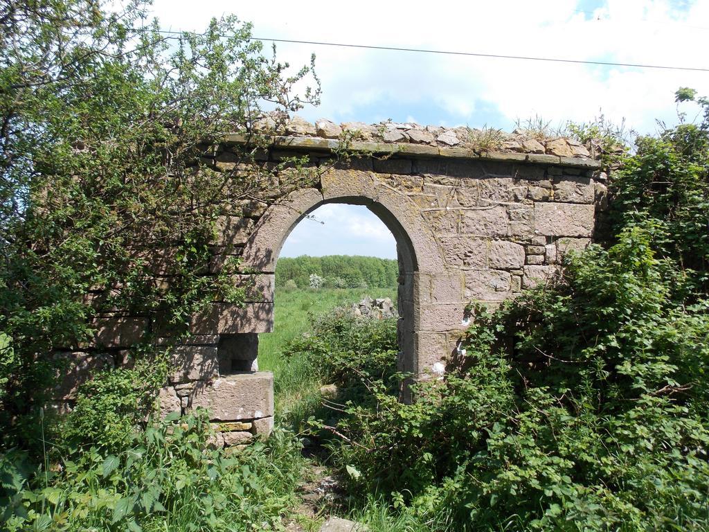 Kilmallock Ash Hill B & B المظهر الخارجي الصورة
